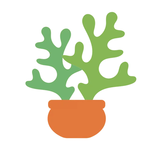 dessert plant