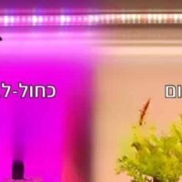 2סוג תאורה בר אור לגידול - 75 נוריות LED בעלות ספקטרום תאורה מלא עם מתג הפעלה