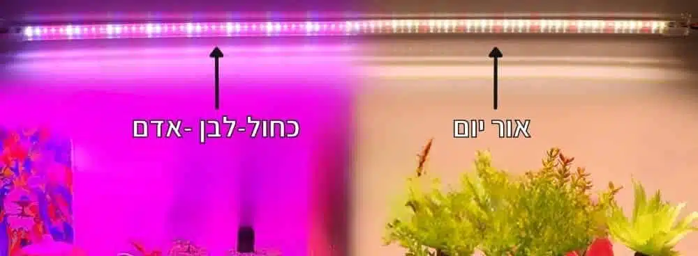 2סוג תאורה בר אור לגידול - 75 נוריות LED בעלות ספקטרום תאורה מלא עם מתג הפעלה