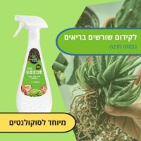 דישון עבור סוקולנטים לקידום שורשים בריאים דישון עבור סוקולנטים לקידום שורשים בריאים