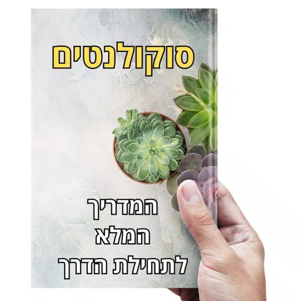 סוקולנטים - המדריך המלא לתחילת הדרך ערכת מתחילים להצלחה עם סוקולנטים - הערכה המושלמת שכוללת הכול !