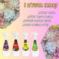 קומבו טיפול בסוקולנטים קומבו טיפול בסוקולנטים