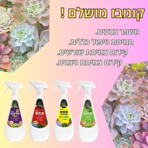 קומבו טיפול בסוקולנטים קומבו טיפול בסוקולנטים