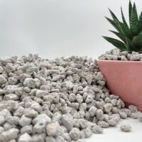 אבני פומיס טבעיות לשתילה או כתוספת למצע - Pumice stone