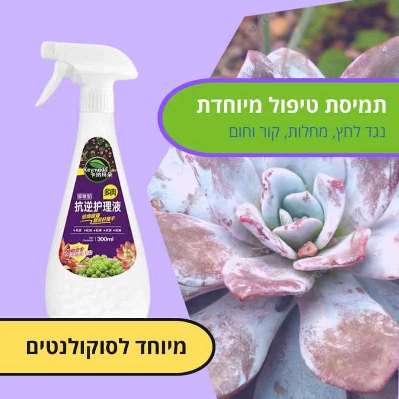 תמיסת טיפול מיוחדת לסוקולנטים תמיסת טיפול מיוחדת לסוקולנטים