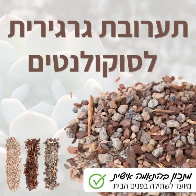 תערובת גרגירית מיוחדת לסוקולנטים בהתאמה אישית לפנים הבית תערובת גרגירית יבשה לצמחים אוהבי מצע יבש לפנים הבית - בעלת ניקוז סופר מהיר