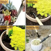 13Pcs-Garden-Planter-Kit-DIY-Sowing-Shovel-Scoop-Bucket-Spoon-Succulents-Seedlings-Tool-Bonsai-Fertilizer-Drilling-5 סט חובה הכולל 13 כלים ואביזרים מיוחדים לטיפוח וטיפול איכותי בצמחים