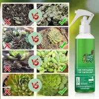 300ml-Bud-Fertilizers-for-Succulent-Plant-Bursting-Element-Foliar-Fertilizer-Promoting-Growth-Bursting-Buds-Nutrient-Solution-2 תרסיס דשן המקדם התפתחות של ניצנים ופריחה מואצת לסוקולנטים 300 מ”ל