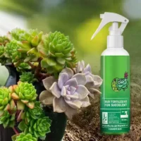 300ml-Bud-Fertilizers-for-Succulent-Plant-Bursting-Element-Foliar-Fertilizer-Promoting-Growth-Bursting-Buds-Nutrient-Solution תרסיס דשן המקדם התפתחות של ניצנים ופריחה מואצת לסוקולנטים 300 מ”ל