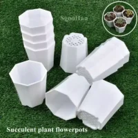 5-50pcs מיני עציצי פלסטיק יצוק עבור לשתילת צמחים קטנים בעלי חורי ניקוז (כמויות שונות)