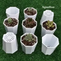 5-50pcs-4 מיני עציצי פלסטיק יצוק עבור לשתילת צמחים קטנים בעלי חורי ניקוז (כמויות שונות)