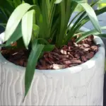 500g-Fermented-Pine-Bark-Natural-Bark-DIY-All-Kinds-of-Plants-Pot-Planting-Root-Nourishing-Moisture-5 500 גרם קליפות שבבי עץ אורן טבעי (בארק) לשיפור קרקע וחיפוי 100% נקי מחוטא וטבעי