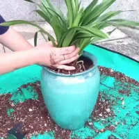 1pcs-50cm-100cm-3 מחצלת גינון ביתית במגוון גדלים לשתילה וטיפול בצמחים - מעולה לשמירה על ניקיון - עמידה למים