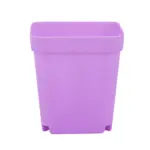 10PCS-Gardening-Mini-Small-Square-Pot-Seven-Colors-Flower-Pot-Succulent-Pot-Little-Black-Square-Plastic-4 מארז 10 עציצים צבעוניים ודקורטיביים לבית ולמשרד - כולל תחתית לכל עציץ | קוטר 7 סמ