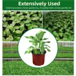 7-Size-Plastic-Nursery-Flowers-Pots-Nutrition-Grow-Bowl-Seedling-Tray-for-Garden-Desktop-Potted-Nursery-5.webp עציצי שתילה גמישים מפלסטיק לשימוש רב-פעמי - עם חורי ניקוז להנבטה, זריעה והעתקת שתילים | 50/100 יחידות במגוון גדלים לבחירה