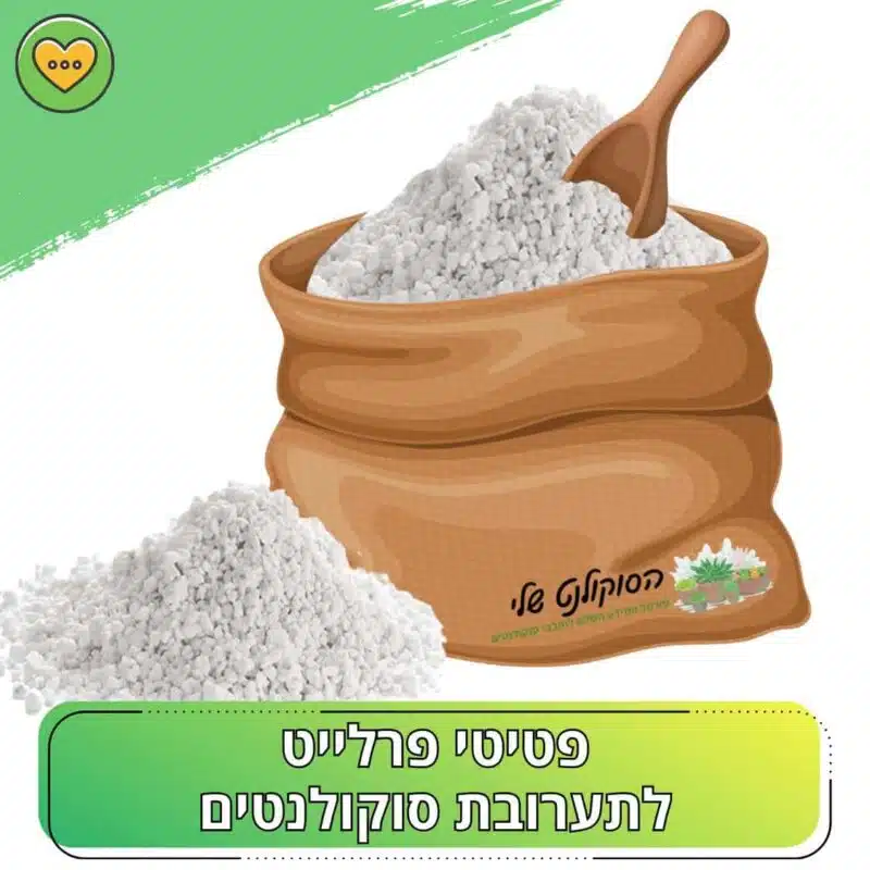 פרלייט לסקולנטים וקקטוסים פרלייט לסקולנטים וקקטוסים
