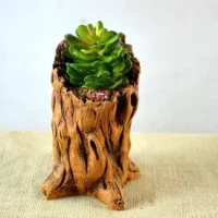 Cute-Mini-Wooden-Cement-Plant-Flower-Pot-Garden-Home-Office-Decor-Planter-Small-Bonsai-Pots-Home-1 עציץ דמוי גזע עץ ריאליסטי לבונסאי וסוקולנטים עשוי שרף (Resin) - עיצוב כפרי דקורטיבי לשולחן