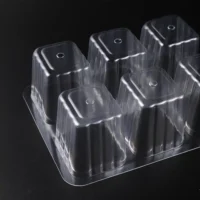 מיני חממה ביתית - ארגז זריעה מתקדם עם תאורת LED לנביטה מושלמת של זרעים וייחורים