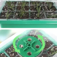 מיני חממה ביתית - ארגז זריעה מתקדם עם תאורת LED לנביטה מושלמת של זרעים וייחורים