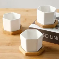 White-Hexagon-Flower-Pot-Succulent-Planter-Ceramic-Flower-Pots-For-Cactus-With-Drainage-Hole-And-Bamboo-1 עציץ חרס משושה לבן לסוקולנטים עם חור ניקוז ומגש במבוק.