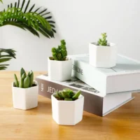 White-Hexagon-Flower-Pot-Succulent-Planter-Ceramic-Flower-Pots-For-Cactus-With-Drainage-Hole-And-Bamboo-2 עציץ חרס משושה לבן לסוקולנטים עם חור ניקוז ומגש במבוק.