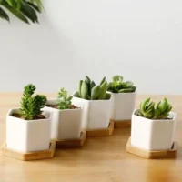 White-Hexagon-Flower-Pot-Succulent-Planter-Ceramic-Flower-Pots-For-Cactus-With-Drainage-Hole-And-Bamboo עציץ חרס משושה לבן לסוקולנטים עם חור ניקוז ומגש במבוק.