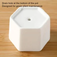 White-Hexagon-Flower-Pot-Succulent-Planter-Ceramic-Flower-Pots-For-Cactus-With-Drainage-Hole-And-Bamboo-3 עציץ חרס משושה לבן לסוקולנטים עם חור ניקוז ומגש במבוק.