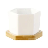 White-Hexagon-Flower-Pot-Succulent-Planter-Ceramic-Flower-Pots-For-Cactus-With-Drainage-Hole-And-Bamboo-4 עציץ חרס משושה לבן לסוקולנטים עם חור ניקוז ומגש במבוק.