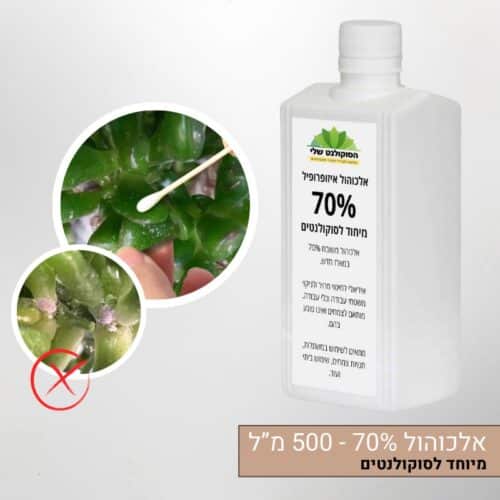 אלכוהול 70% מיוחד לסוקולנטים 500 מ’ל