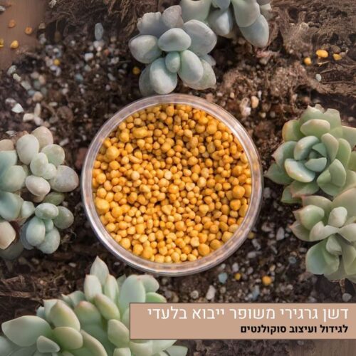 דשן גרגירי משופר לגידול ועיצוב סוקולנטים דשן גרגירי משופר לגידול ועיצוב סוקולנטים