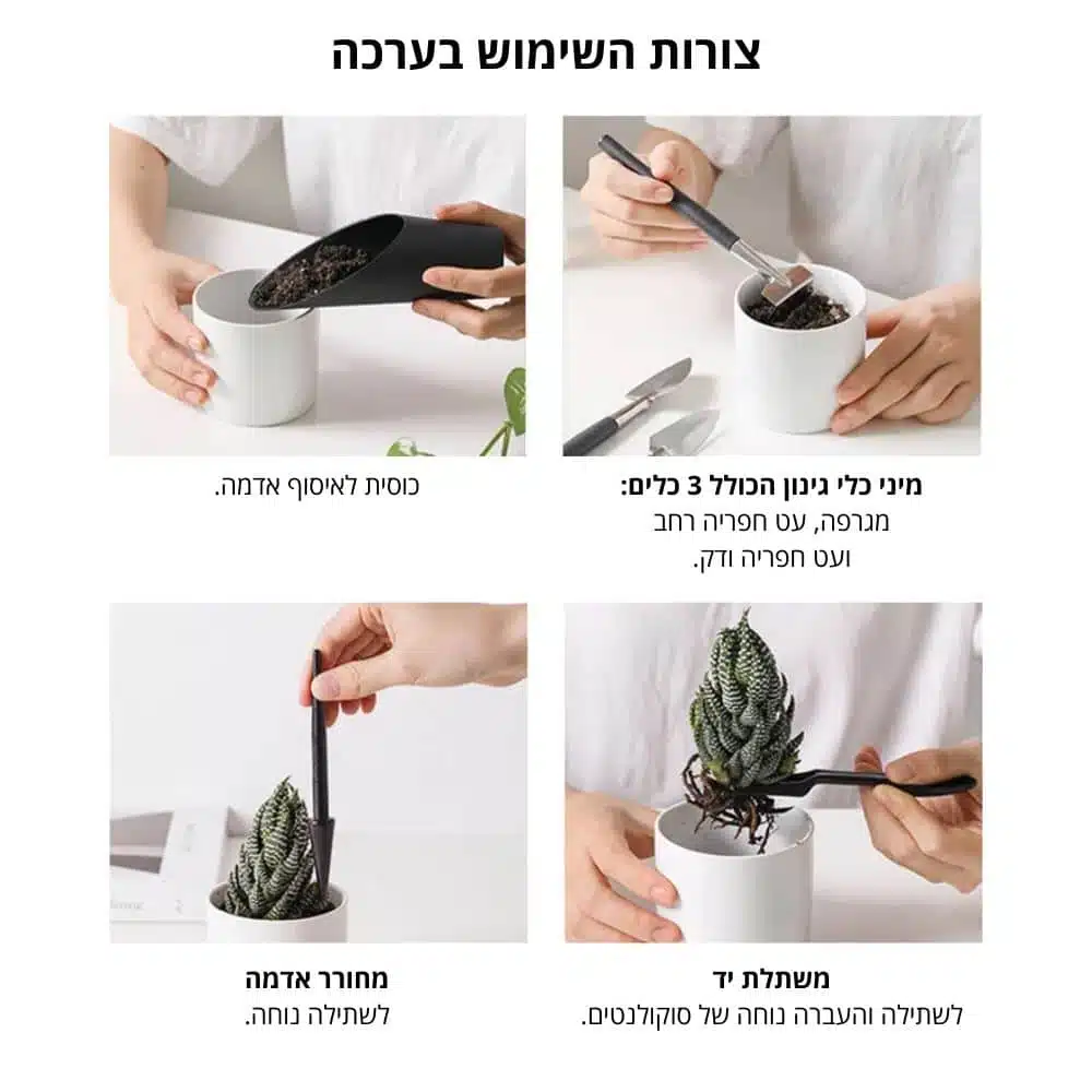 ערכת גינון מושלמת לסוקולנטים 2 width=1000