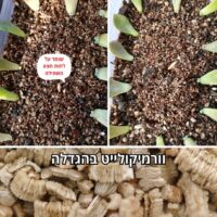 וורמיקולייט לסוקולנטים וורמיקולייט לסוקולנטים