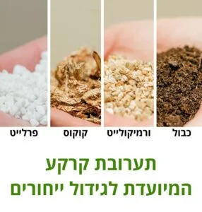 תערובת קרקע המיועדת לגידול ייחורים סוקולנטים וקקטוסים תערובת קרקע המיועדת לגידול ייחורים סוקולנטים וקקטוסים