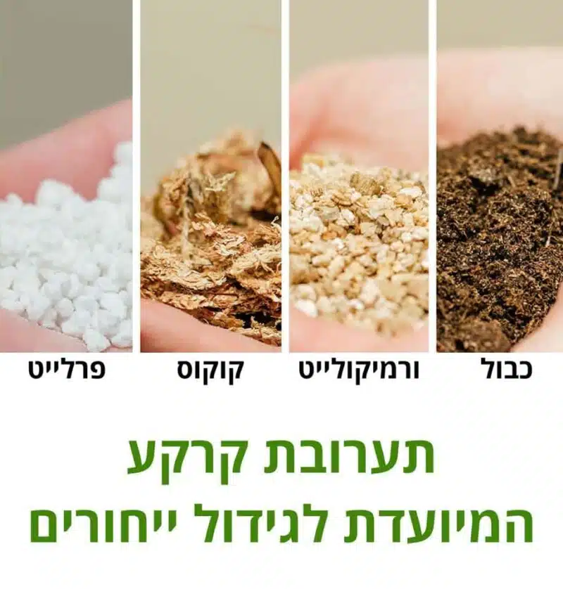 תערובת קרקע המיועדת לגידול ייחורים סוקולנטים וקקטוסים תערובת שתילה מיוחדת לייחורים מקדמת השרשה זרעים והנבטה המכילה כבול | קוקוס טחון | פרלייט | ורמיקולייט