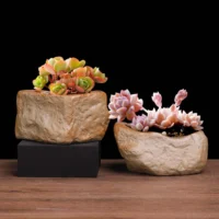 kf-S27be78876cd3490a809860153fba6f73c-Ceramic-Stone-Shape-Small-Plants-Pot-Succulent-Plant-Flower-Pot-Bonsai-Cactus-Home-Living-Room-Decor עציץ בצורת אבן מקרמיקה איכותית- מתאים לסוקולנטים וקקטוסים בעיצוב נורדי לבית ולמשרד