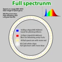 kf-Sd74f987b37d64128bad50fc1877aa241C-10-LED-Ring-Grow-Lights-for-Indoor-Plants-Full-Spectrum-Large-Plant-Light-for-Indoor-Plants מנורת LED מקצועית בקוטר 25 סמ בעלת ספקטרום אור מלא - לצמחים גבוהים עד 1.5 מטר גובה