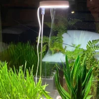 kf-Sf5339ec8a51a40cd97f773879942e669q-Full-Spectrum-Indoor-Solar-LED-Growth-Light-Four-Gear-Dimming-Fleshy-Viridiplantae-Flower-Floor-Telescopic-Fill תאורת LED מתכווננת לצמחים בעלת ספקטרום אור מלא - 4 מצבי עמעום + הגדרת זמן תאורה