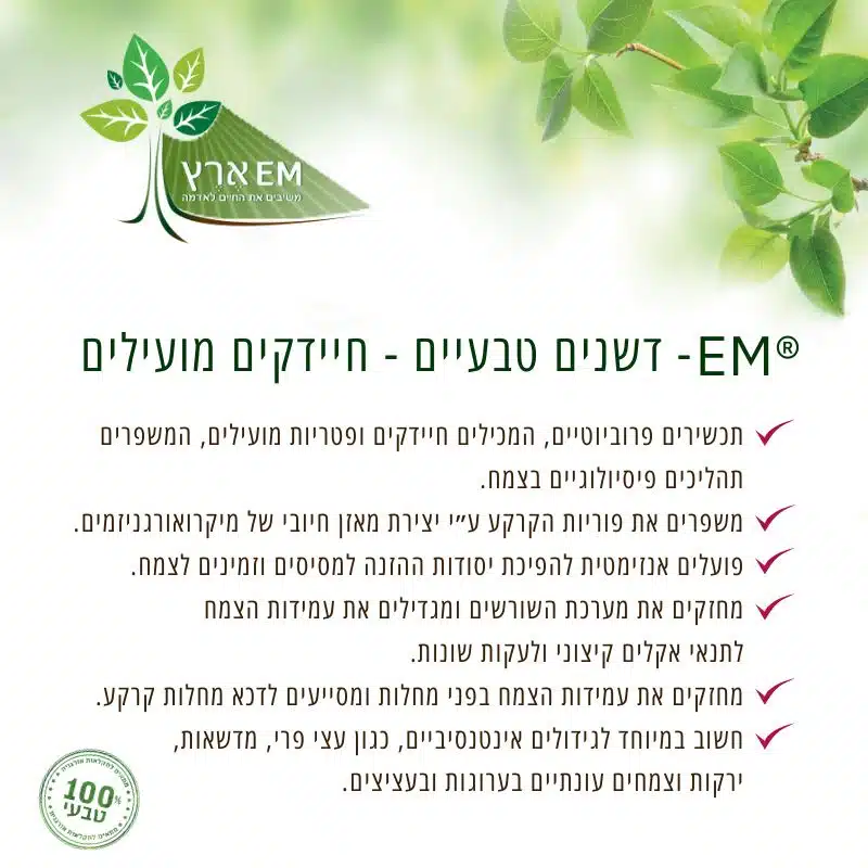 EM-בוקאשי ביוצ'אר 2 EM-בוקאשי ביוצ'אר 2