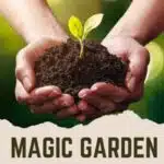 Magic Garden – תוסף ביודינמי לגינה 3 Magic Garden – תוסף ביודינמי לגינה 3