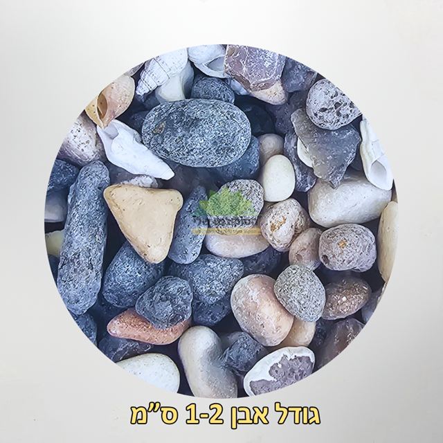 אבנים מהכנרת גדול 1-2 סמ אבנים מהכנרת גדול 1-2 סמ