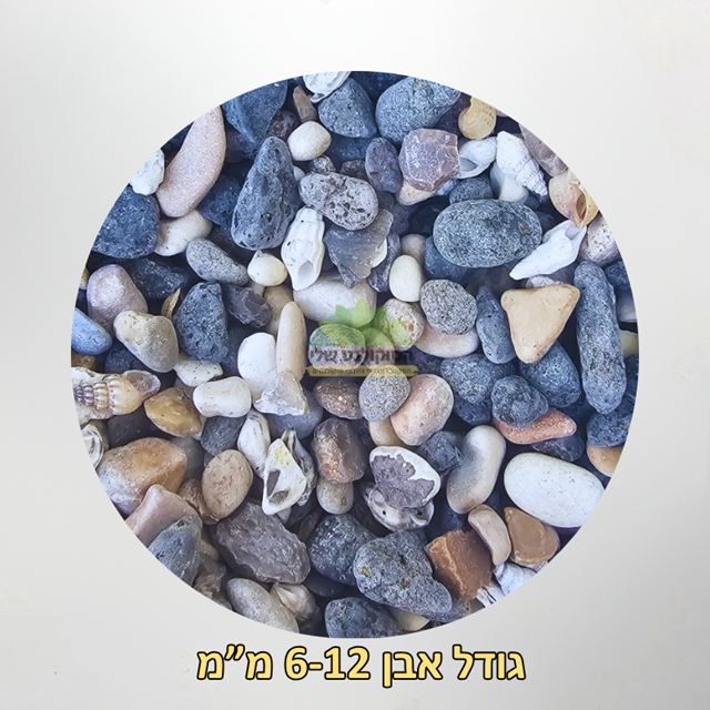 אבנים מהכנרת גדול 6-12 ממ אבנים מהכנרת גדול 6-12 ממ