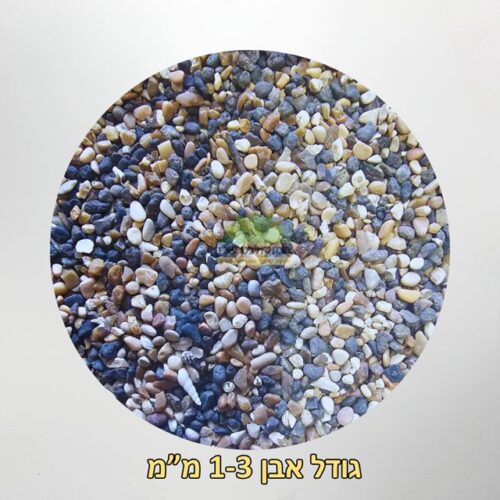 אבנים מהכנרת גודל סומסומית