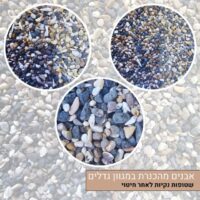 אבנים מהכנרת מגוון גדלים אבנים מהכנרת מגוון גדלים