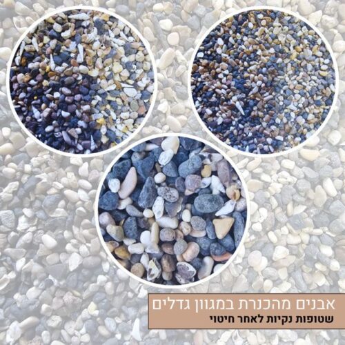 אבנים מהכנרת מגוון גדלים אבנים מהכנרת מגוון גדלים