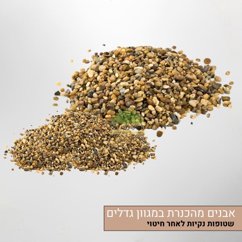 אבנים מהכנרת מגוון גדלים