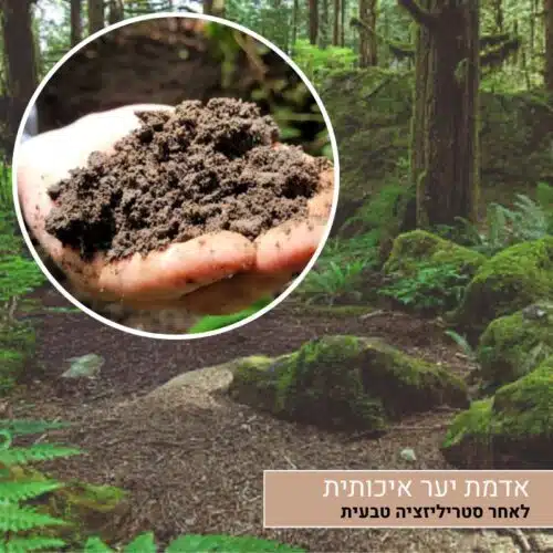 אדמת יער איכותית אדמת יער איכותית