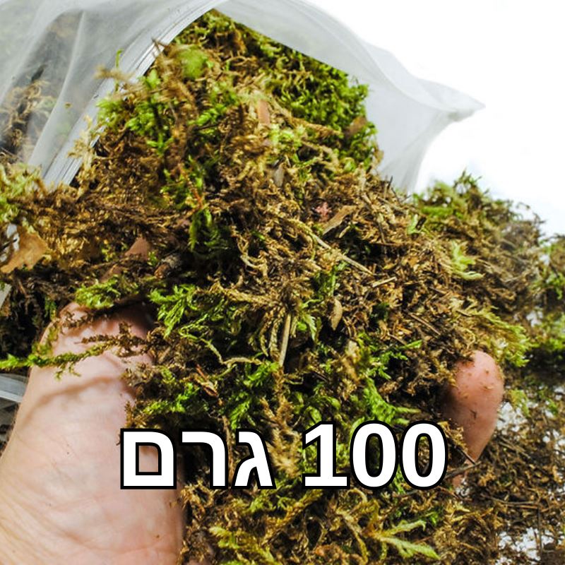 אזוב ספגנום יבש 100 גרם