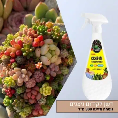דשן לקידום ניצנים עבור סוקולנטים פורחים נוסחה מזינה 300 מ”ל דשן לקידום ניצנים עבור סוקולנטים פורחים נוסחה מזינה 300 מל