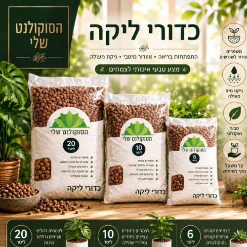 כדורי ליקה