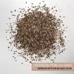 לצוזה פון LECHUZA-PON לצוזה פון LECHUZA-PON